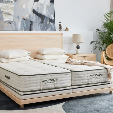 Eco Plus Adjustable Base